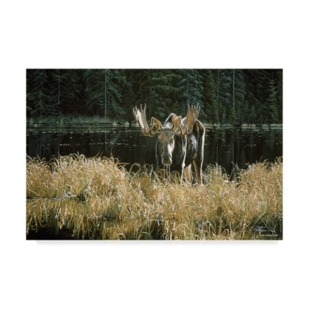 Ron Parker 'Autumn Foraging Moose' Canvas Art,16x24